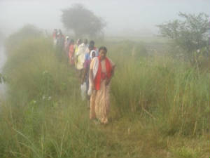 ph_700.jpg