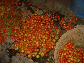 ph_230.jpg